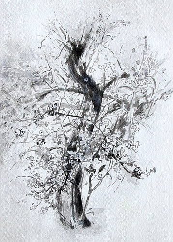 Kirschblüte<br>Bild: ca. 29,7 x 33 cm  Rahmen: ca. 40 x 50 cm